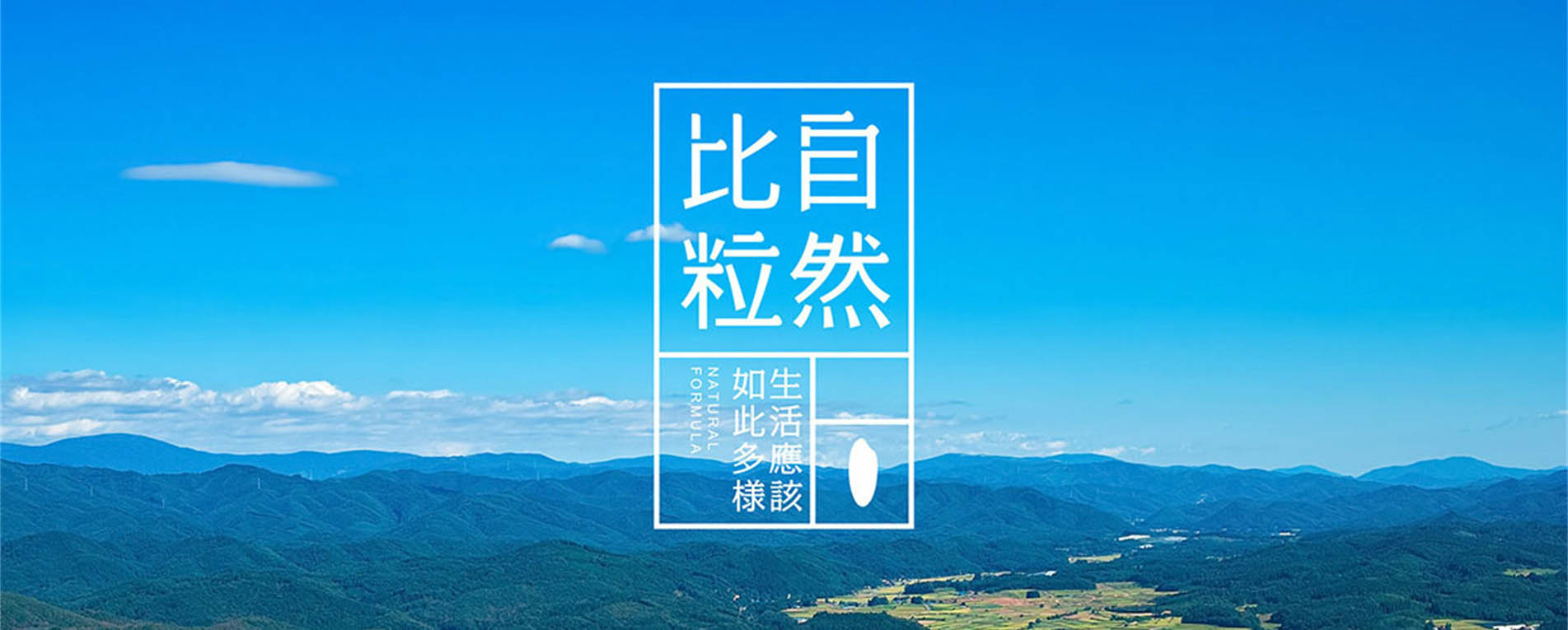 山信集團(tuán)/自然比粒花樣主食
